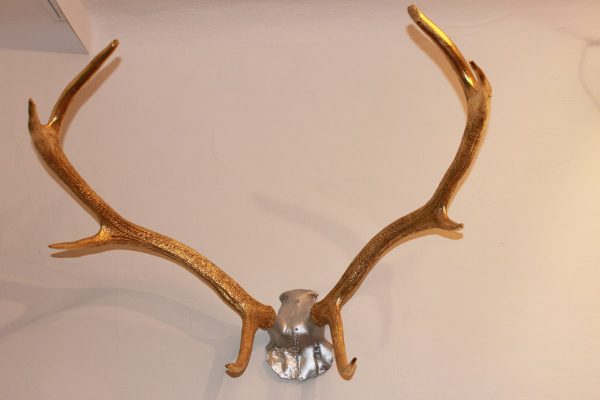 antler of a deer in gold - Goldcreartiv